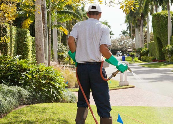 About Comstock TX Pest Control